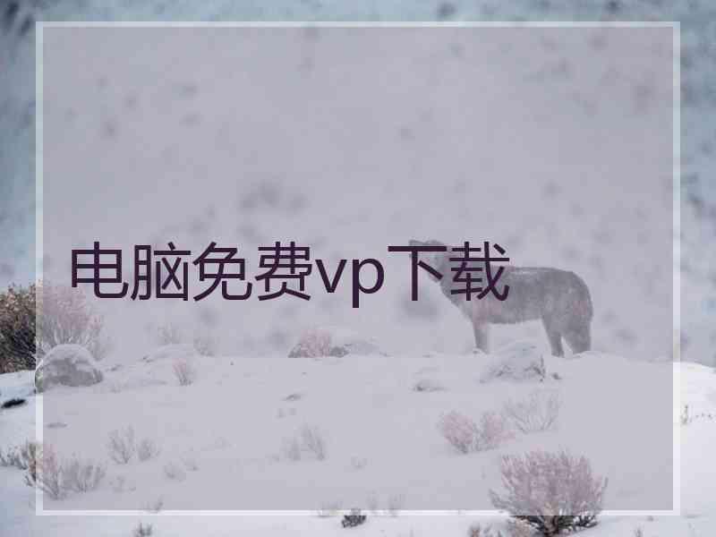 电脑免费vp下载