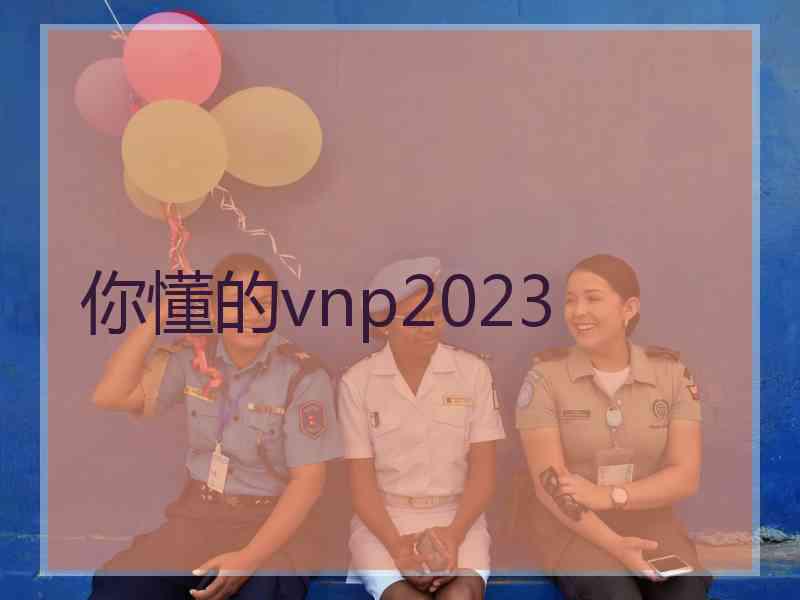 你懂的vnp2023