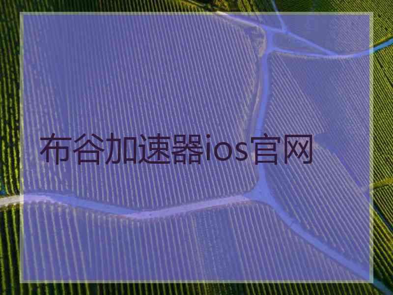 布谷加速器ios官网