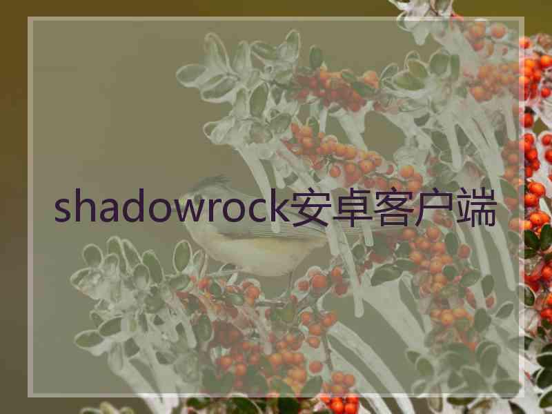 shadowrock安卓客户端