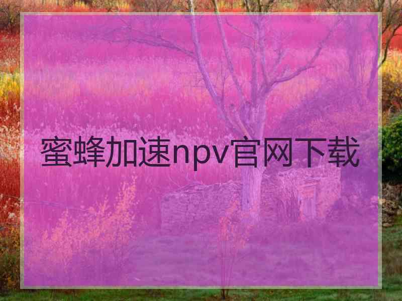 蜜蜂加速npv官网下载