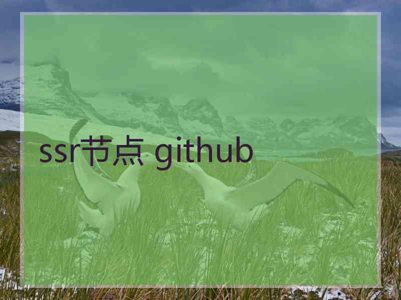 ssr节点 github