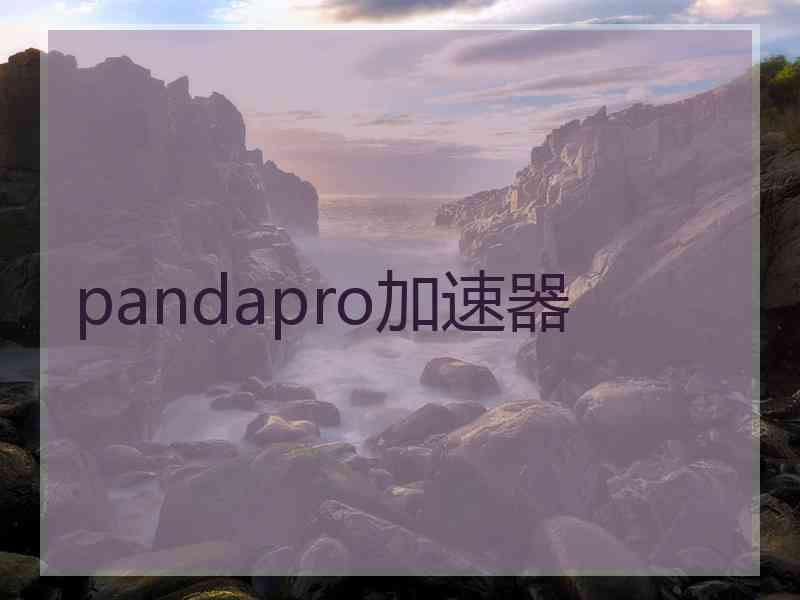 pandapro加速器