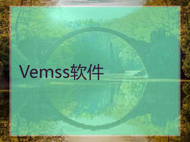 Vemss软件