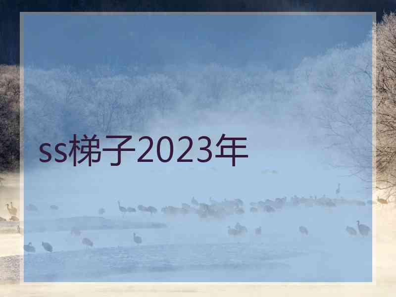 ss梯子2023年