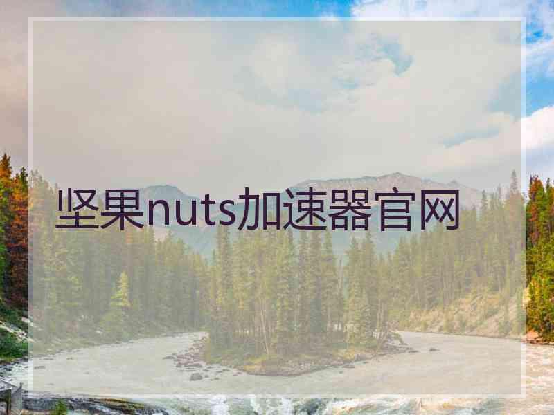 坚果nuts加速器官网