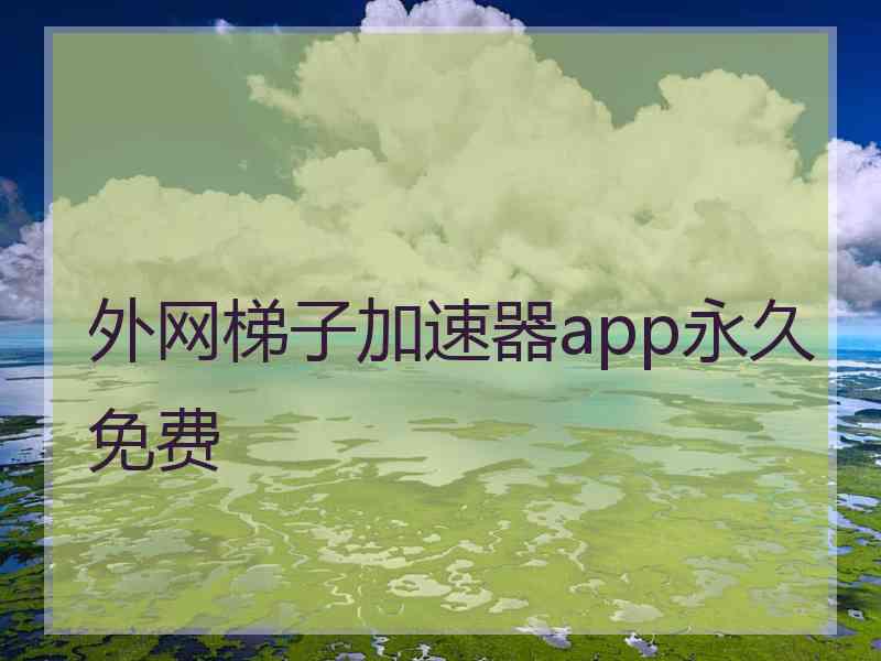 外网梯子加速器app永久免费