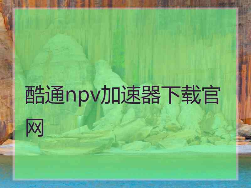 酷通npv加速器下载官网