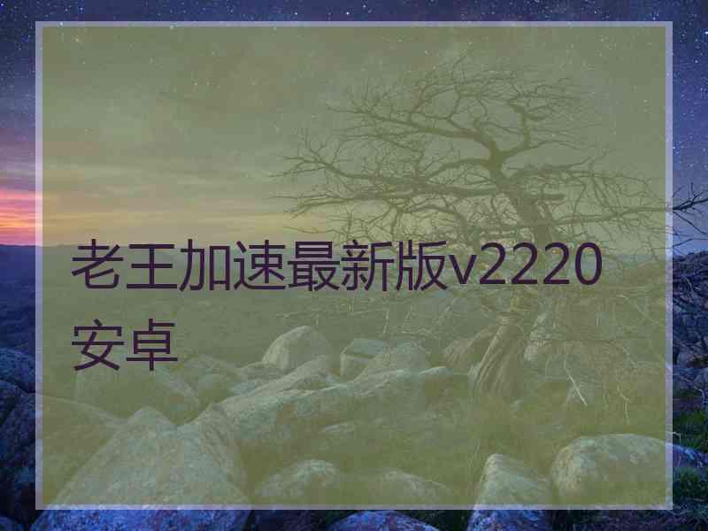 老王加速最新版v2220安卓