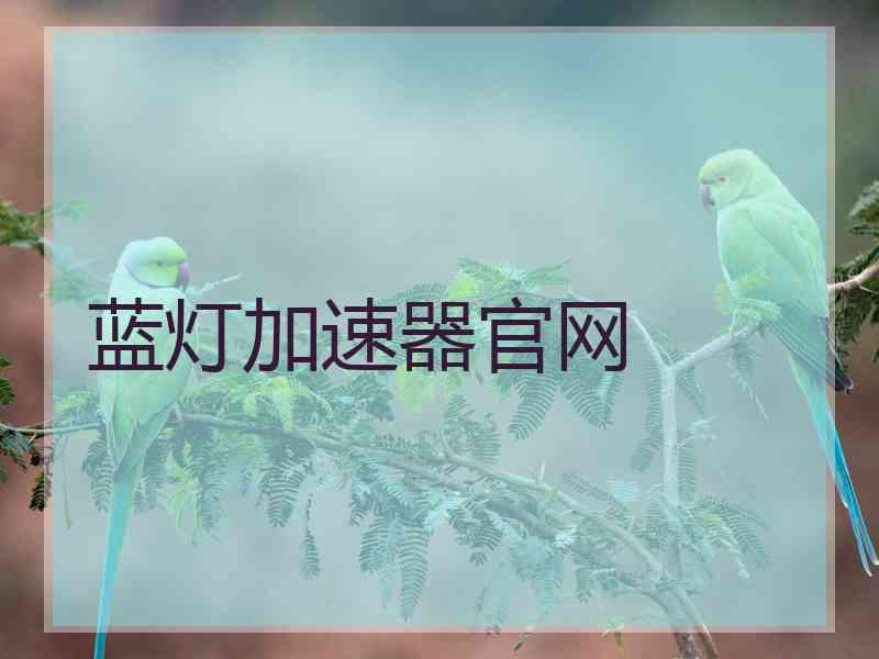 蓝灯加速器官网