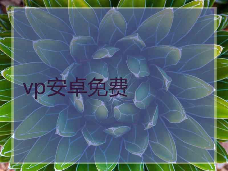 vp安卓免费