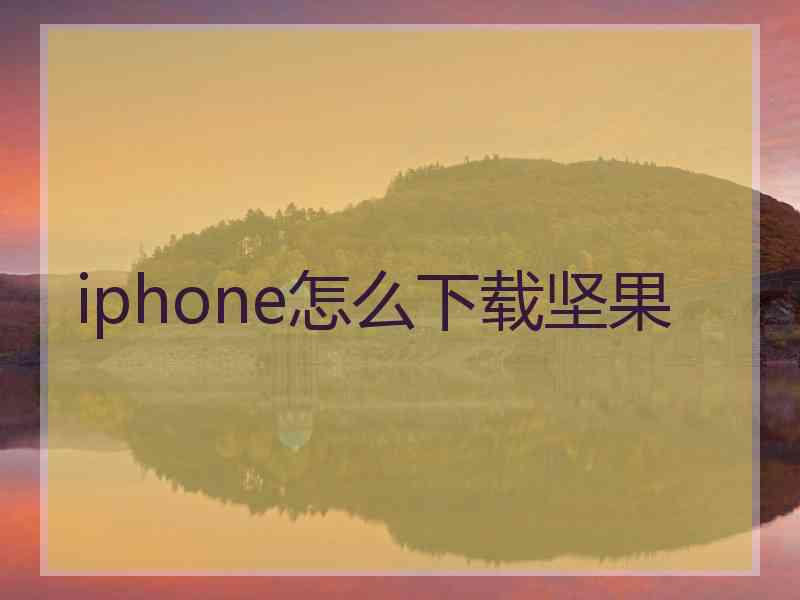 iphone怎么下载坚果