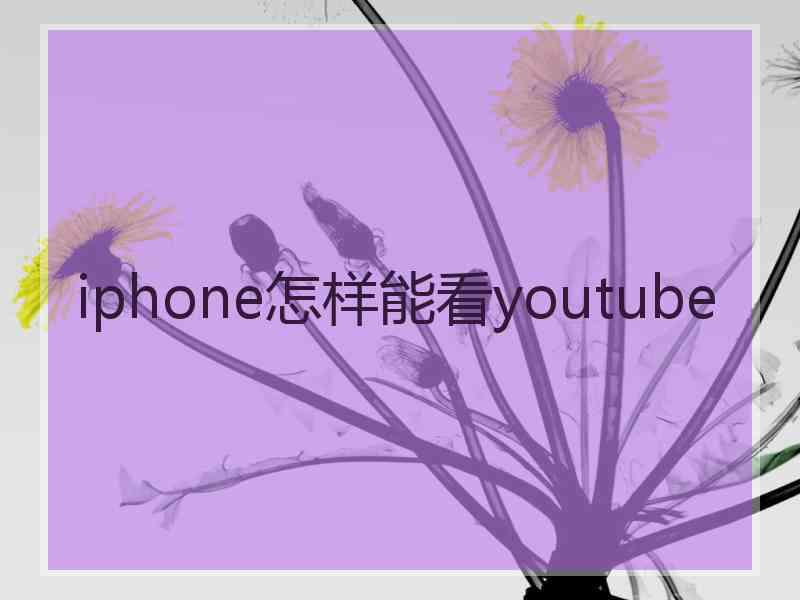 iphone怎样能看youtube