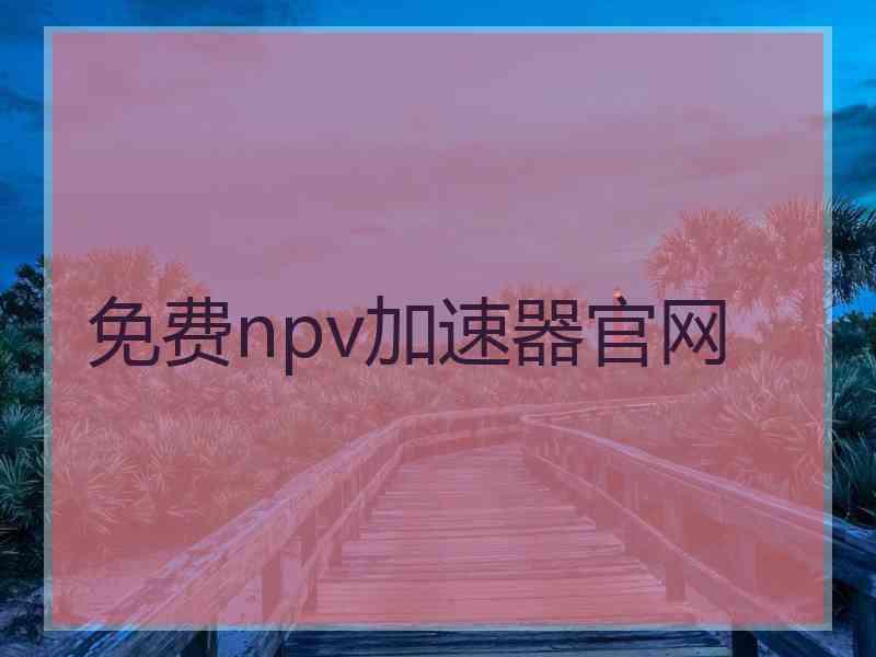 免费npv加速器官网