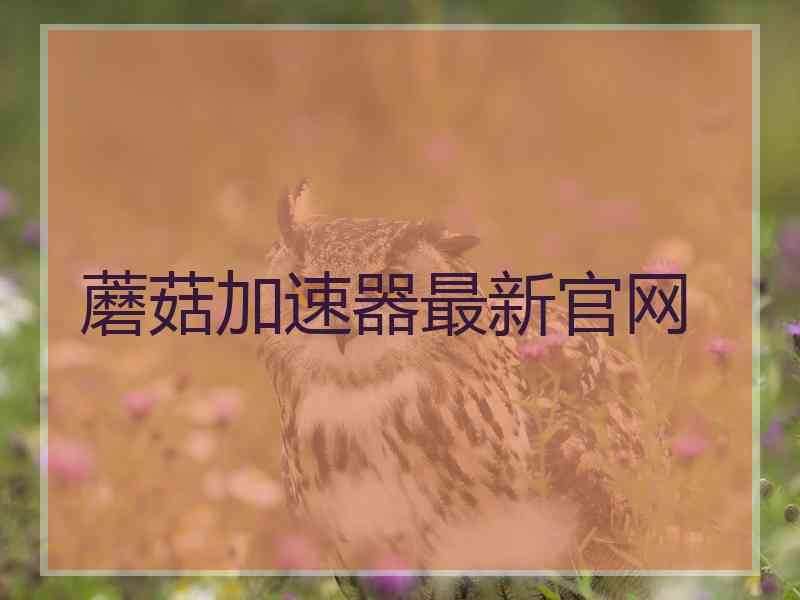 蘑菇加速器最新官网